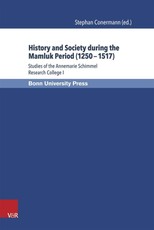 History and Society during the Mamluk Period (1250-1517)