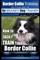 Border Collie Training Dog Training with the No BRAINER Dog TRAINER We Make it THAT Easy!