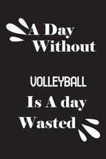 A day without volleyball is a day wasted