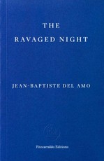 The Ravaged Night