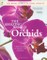 The Amazing World of Orchids: A Practical Guide to Selection and Cultivation