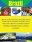 Brazil for Sale? Does Sino-Brazilian Trade or Investment Significantly Influence Brazil's United Nations General Assembly (UNGA) Voting Pattern?