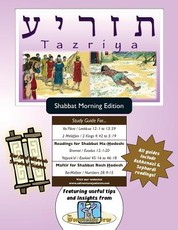 Bar/Bat Mitzvah Survival Guides