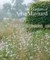 The Gardens of Arne Maynard