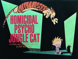 Homicidal Psycho Jungle Cat, 13