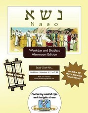 Bar/Bat Mitzvah Survival Guides