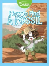 How to Find a Fossil