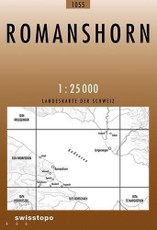 Swisstopo 1 : 25 000 Romanshorn