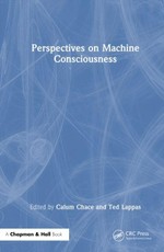 Perspectives on Machine Consciousness