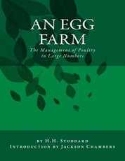 An Egg Farm