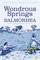 The Wonderous Springs of Balmorhea