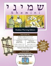 Bar/Bat Mitzvah Survival Guides