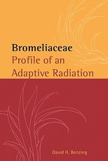 Bromeliaceae