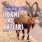 Horns and Antlers