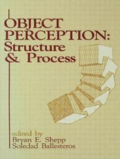 Object Perception