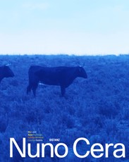 Cera, N: My Light / Minha Luz