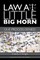 Law at Little Big Horn