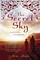 The Secret Sky