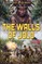 The Walls of Jolo