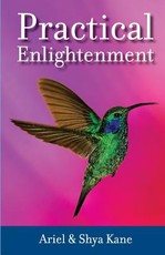Practical Enlightenment