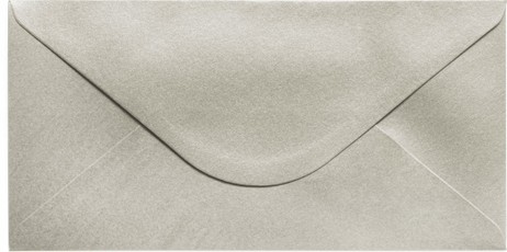 Vokai DL PEARL 150g  10vnt sidabriniai