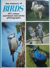 The Treasury of Birds