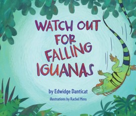 Watch Out for Falling Iguanas