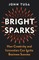 Bright Sparks