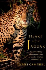 Heart of the Jaguar