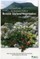 An Illustrated Guide to British Upland Vegetation