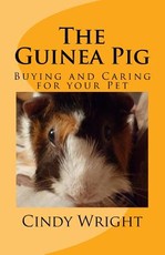 The Guinea Pig