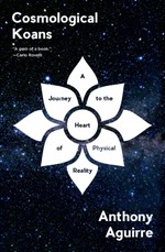 Cosmological Koans: A Journey to the Heart of Physical Reality