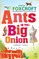 Ants in the Big Onion