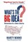 What's the Big Idea?