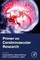 Primer on Cerebrovascular Research