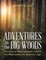 Adventures in the Big Woods