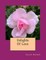Delights Of Love