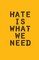 Hate Is What We Need