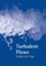Turbulent Flows