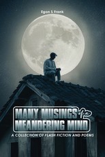 Many Musings of a Meandering Mind