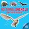 Nocturnal Animals on the Move