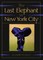 The Last Elephant in New York City
