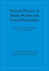 Particle Physics of Brane Worlds and Extra Dimensions