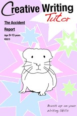 Accident Report