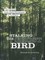 Stalking the Ghost Bird