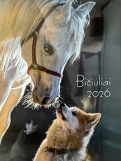 Sieninis kalendorius 2026. Bičiuliai