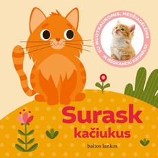 SURASK KAČIUKUS. Su nuotraukomis, medžiagėlėmis ir iššokančiu katinėliu!