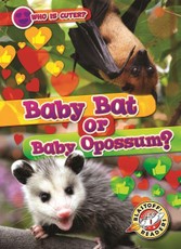 Baby Bat or Baby Opossum?