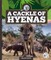 A Cackle of Hyenas