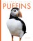 Puffins